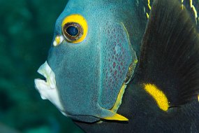 Cayman Islands-146