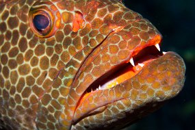 Cayman Islands-162