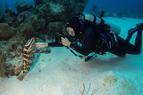 Cayman Islands-428