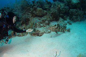 Cayman Islands-430