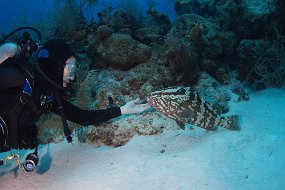 Cayman Islands-431