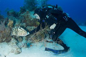 Cayman Islands-435