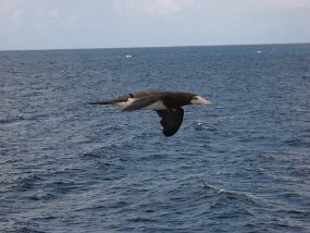 IMG_0676