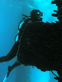 PB281301_edited-1