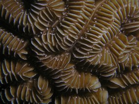 PB291374