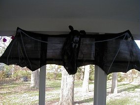 bat