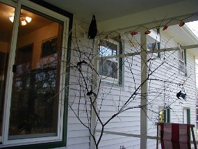 bat1