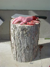 chop1