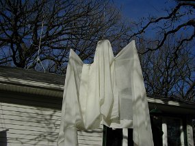 ghost1