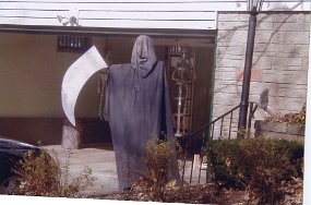 img547