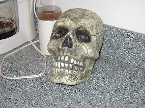 skull