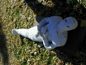 mummy1