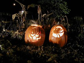pumpkin1