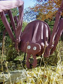 spider1