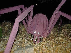 spider2