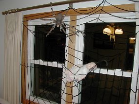 web1