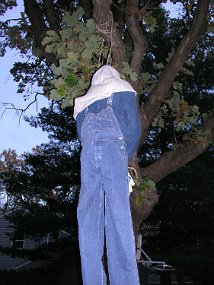 P1010018