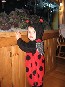 Halloween 011