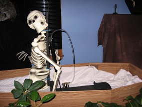 Halloween 031