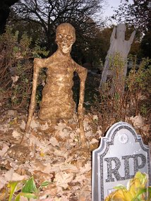 Halloween 007