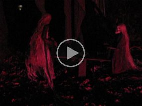MVI_0654