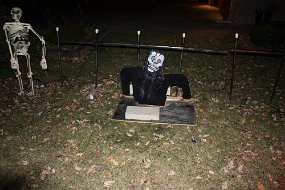 IMG_2229