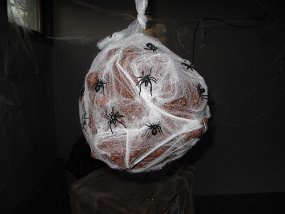 IMG_3915