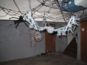 IMG_3919