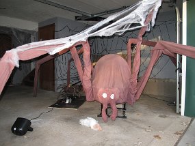 IMG_3920