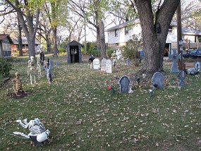 IMG_3929