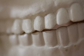 IMG_5109