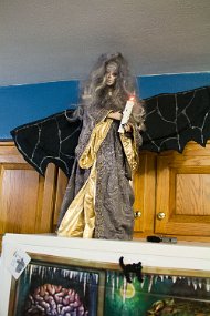 IMG_5115