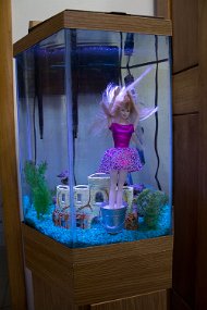 IMG_5116