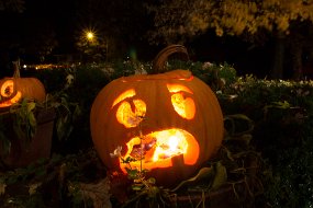 Halloween-105