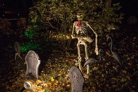 Halloween-136