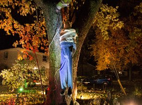 Halloween-142
