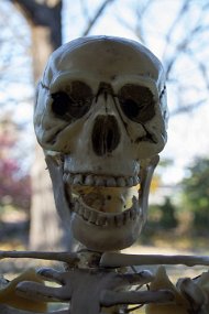 Halloween 2014-74