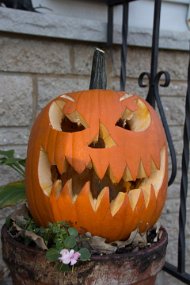Halloween 2014-77