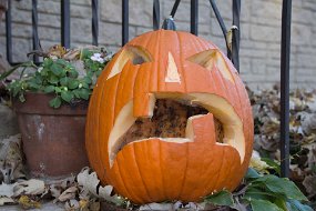 Halloween 2014-78
