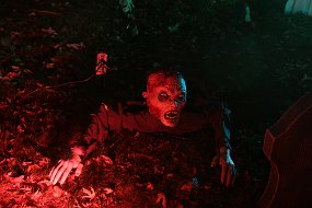 Halloween 2015-138