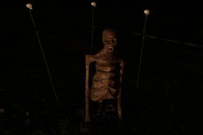 Halloween 2015-147