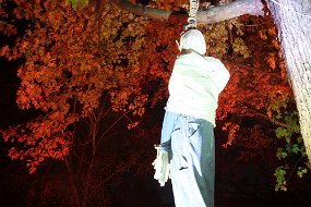 Halloween 2015-149