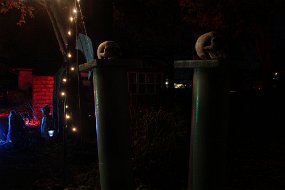 Halloween 2015-166
