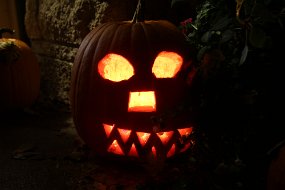 Halloween 2015-225