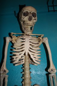 Halloween 2015-99