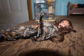 Halloween2016-107