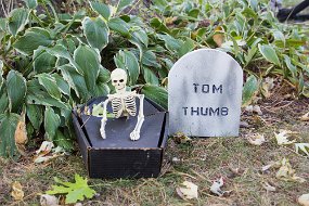 Halloween2016-25