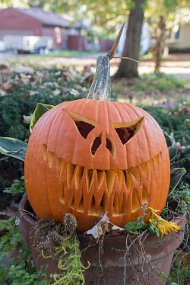 Halloween2016-39