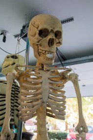 Halloween2016-55