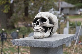 Halloween 2017-27